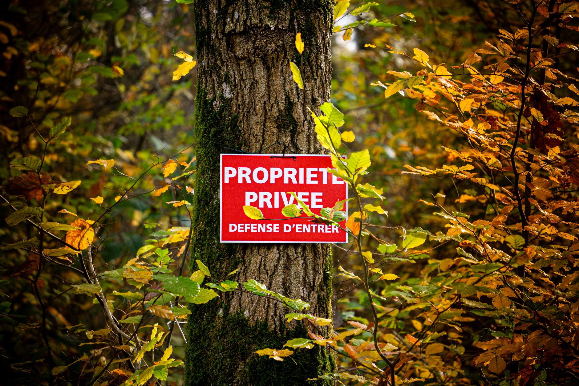 Détective privé à Créteil